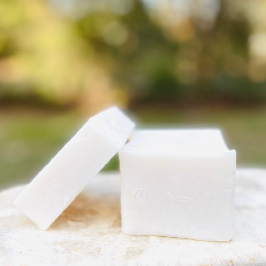 Haus Dish Soap Bar: the Everything Bar - Plastic-free Dish Soap & Stain Stick & Counter Cleaner Pods