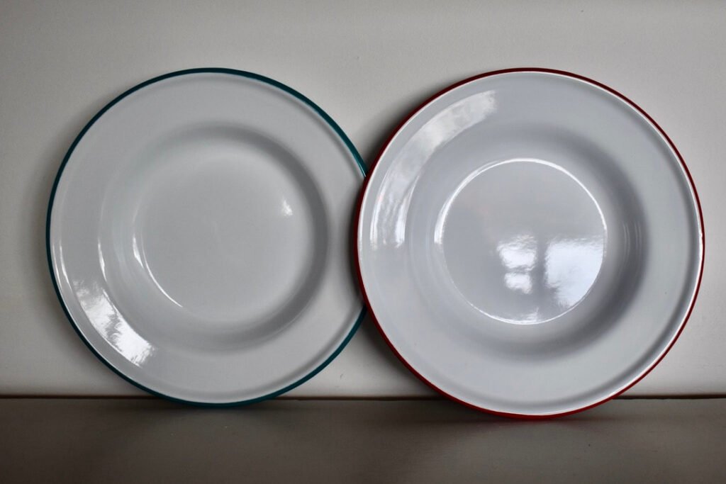 Crow Canyon Raised Salad Plate - enamelware