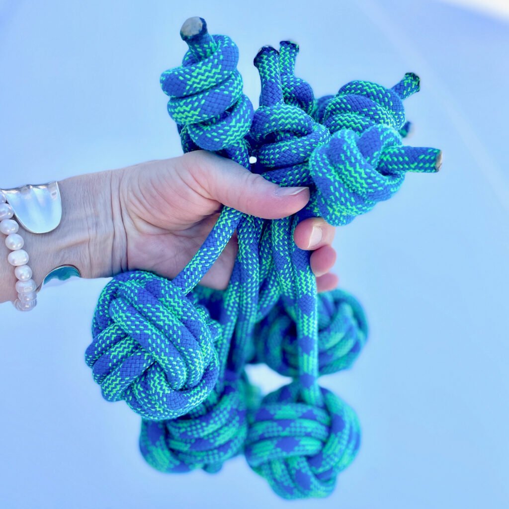 Dog Toys