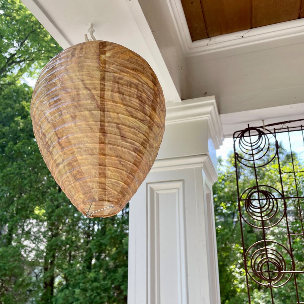Wasp Nest Decoy