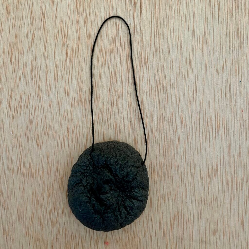 Charcoal Facial Sponge
