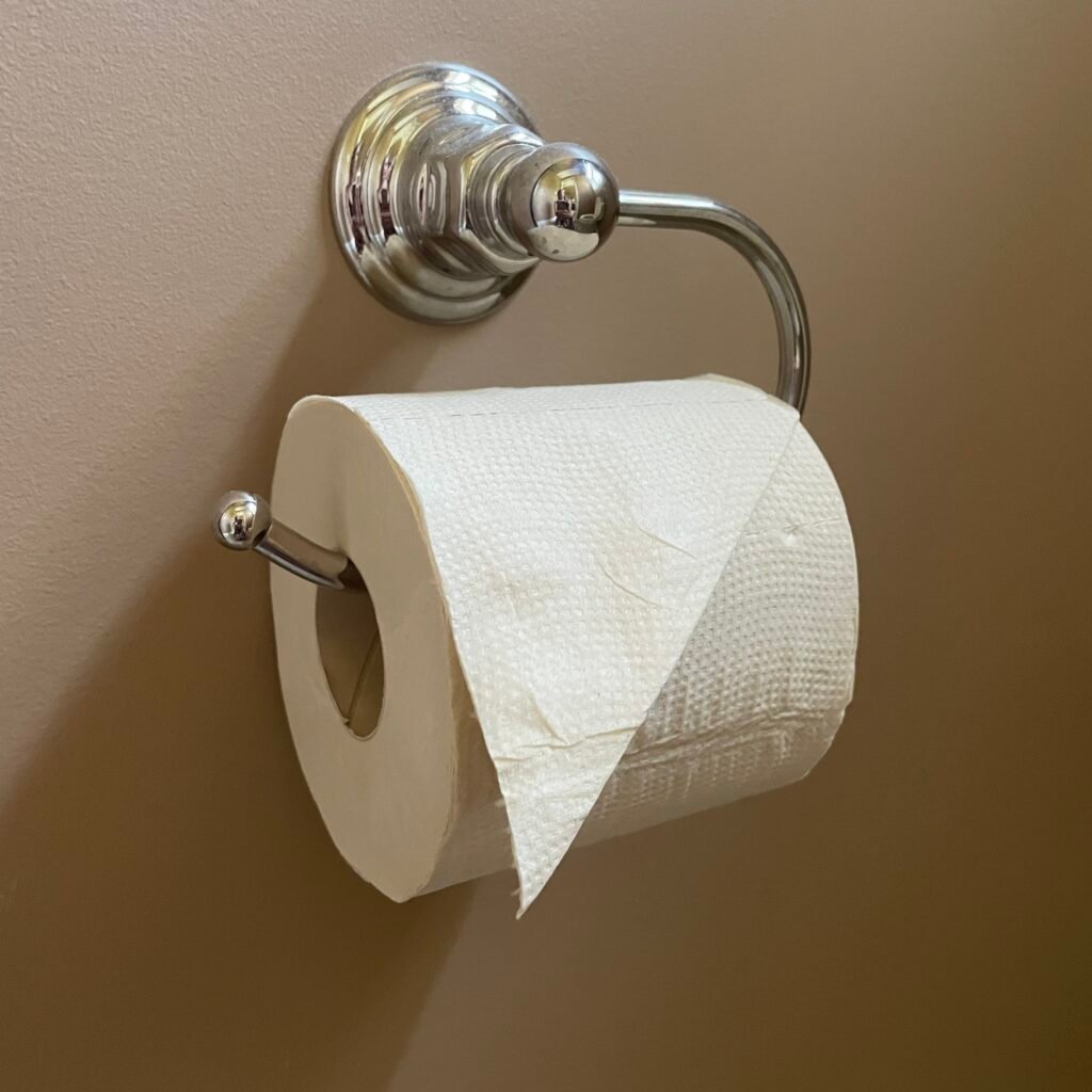 Bamboo Toilet Paper (Eco Panda by Rustic Strength)