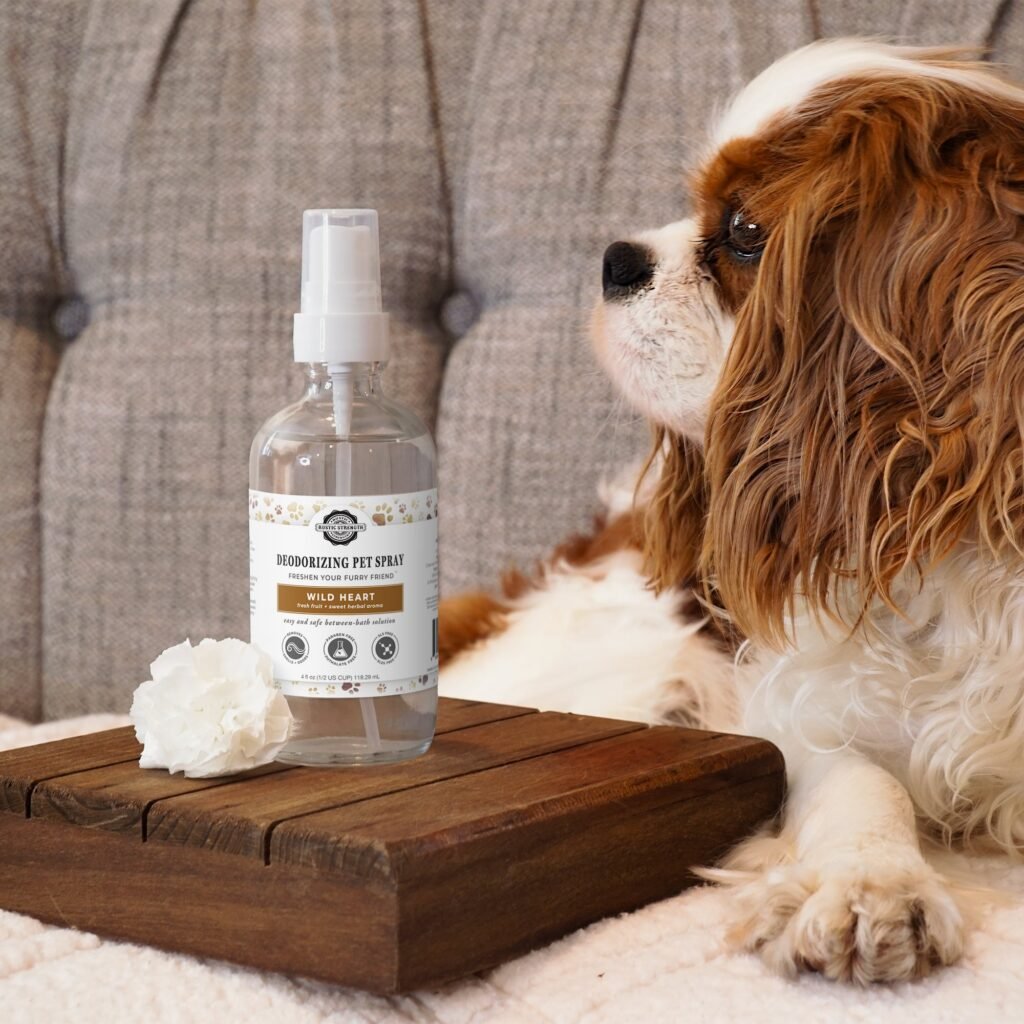 Pet Deodorizing Spray - Wild Heart Scent - Refill