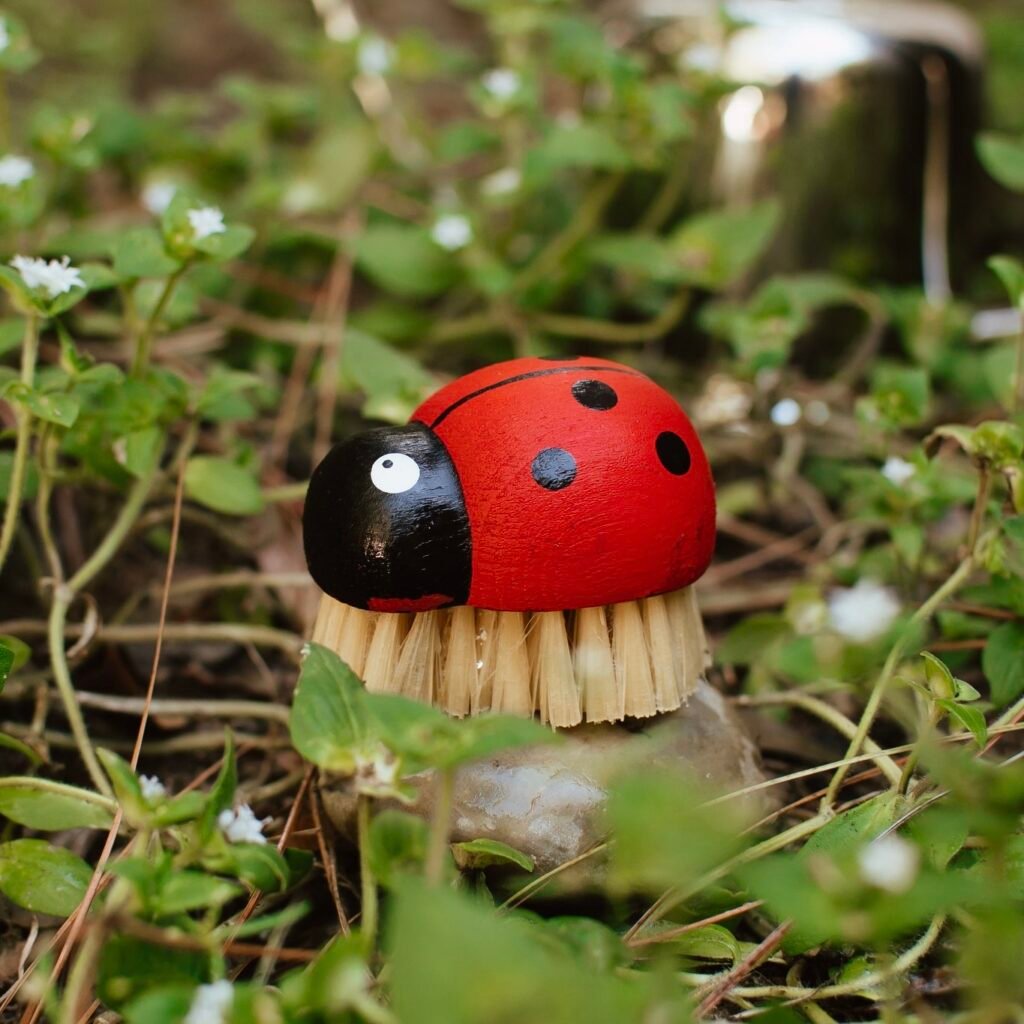 Ladybug Brush - Multi-purpose