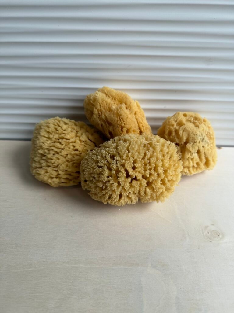 Sea Sponge (All Natural)