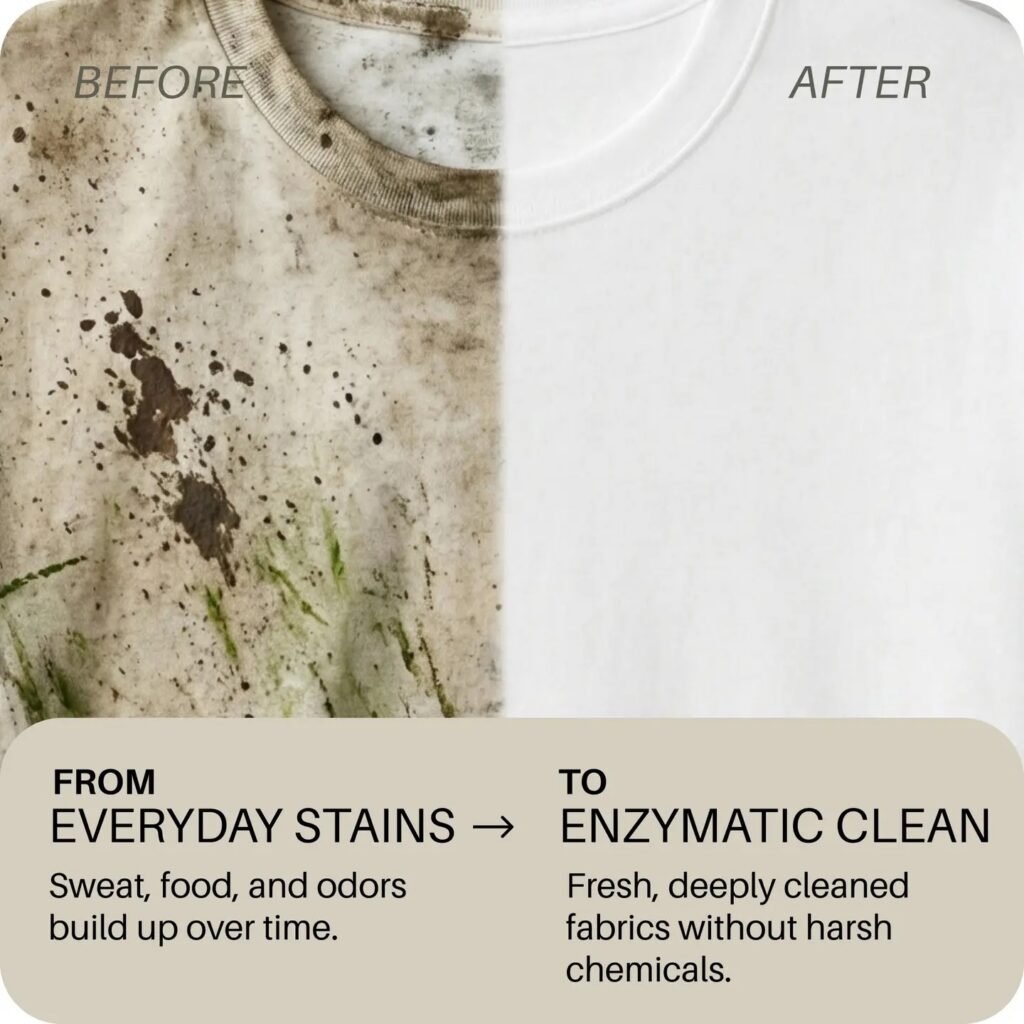 Enzyme Liquid Laundry Detergent - Unscented & Bloom - Refill